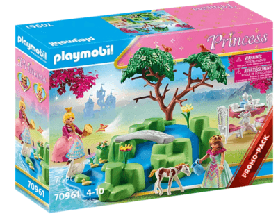 Prinzessinnen-Picknick mit Fohlen