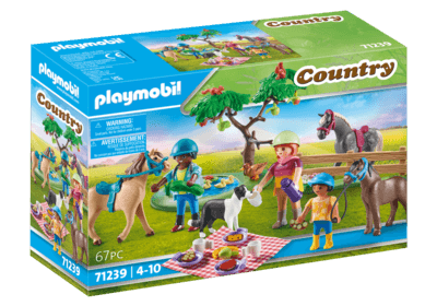 Picknickausflug mit Pferden