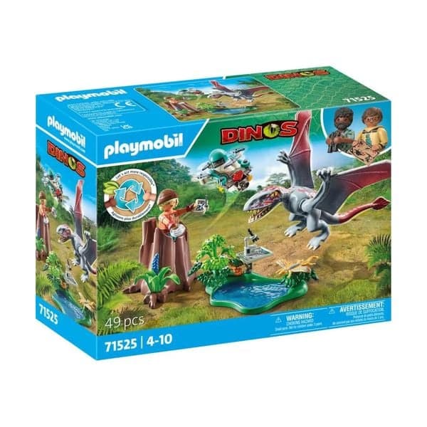 Beobachtungsstation für Dimorphodon